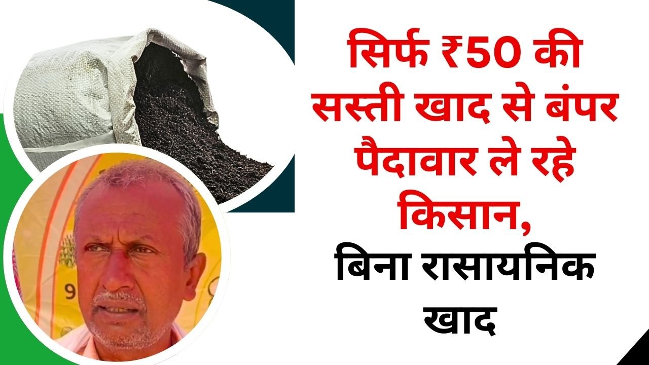 ₹50 तक की खाद का इस्तेमाल कर रहे किसान